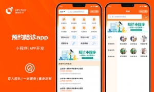 01 视典案例:陪诊小程序开发案例