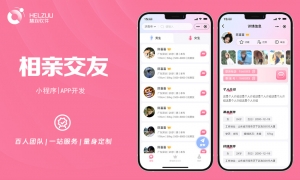 1 视典案例:相亲交友小程序开发案例