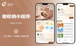 案例图1 视典案例:收纳师小程序开发方案