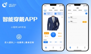 案例图1 智能穿戴系统开发解决方案