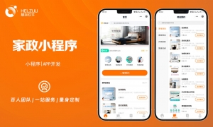 1 视典案例:家政服务小程序开发案例