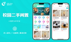 1 视典案例:校园二手闲置小程序开发案例