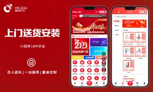 1 视典案例:安装维修小程序开发案例